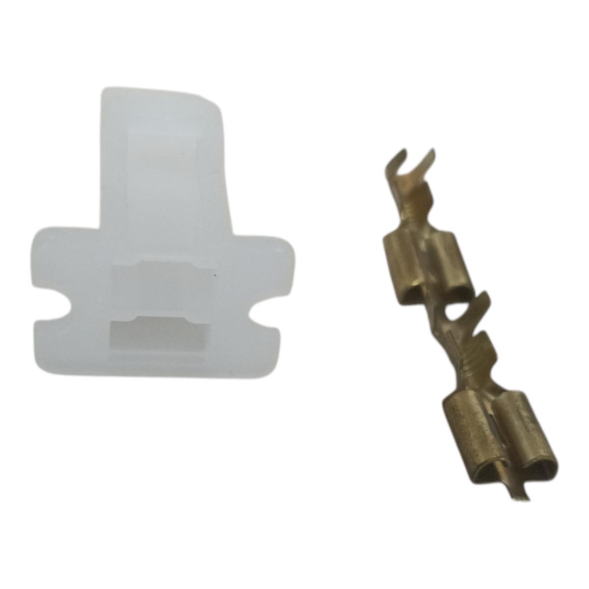 IMG_4516640546670345970-Photoroom