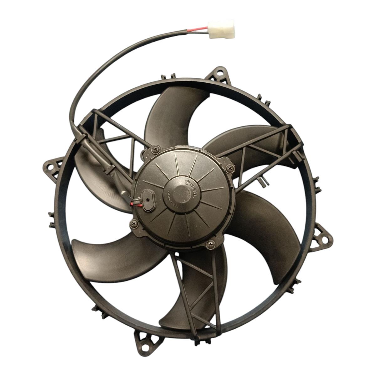 IMG_2043714503528463281-Photoroom